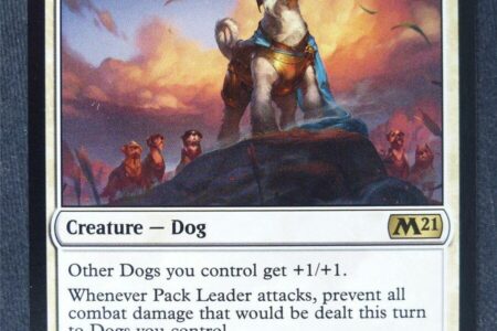 pack leader dog training