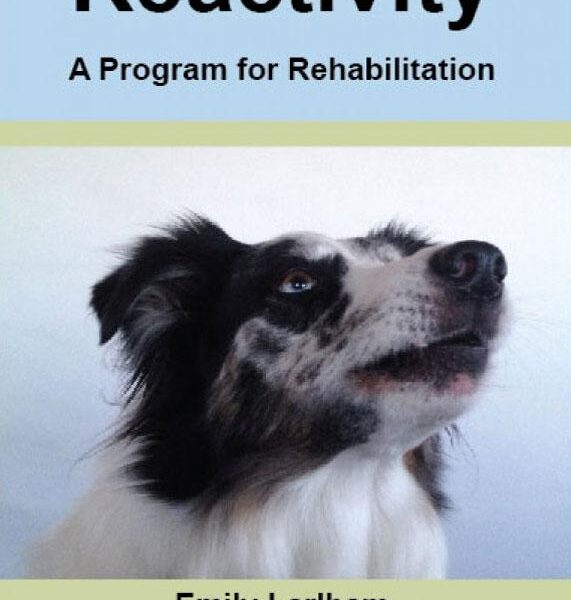 reactivity training for dogs