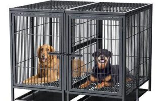 puppy cage