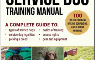 service dog training near me