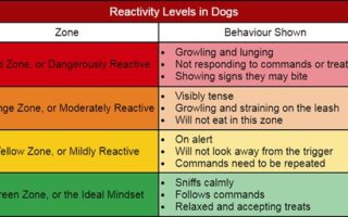 dog reactivity training near me