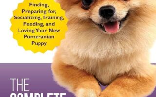 pomeranian training