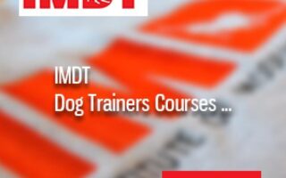 imdt courses