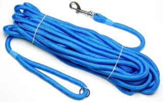 long dog training lead