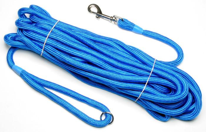 long dog training lead