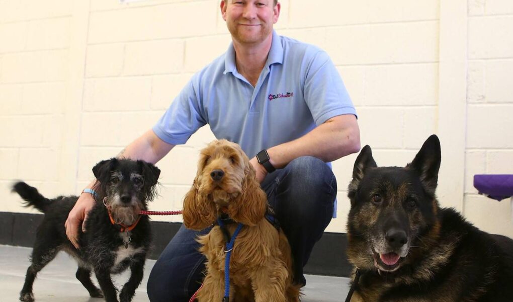 best behaviour dog training