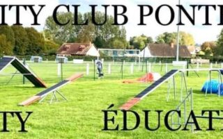 agility club