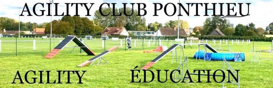 agility club