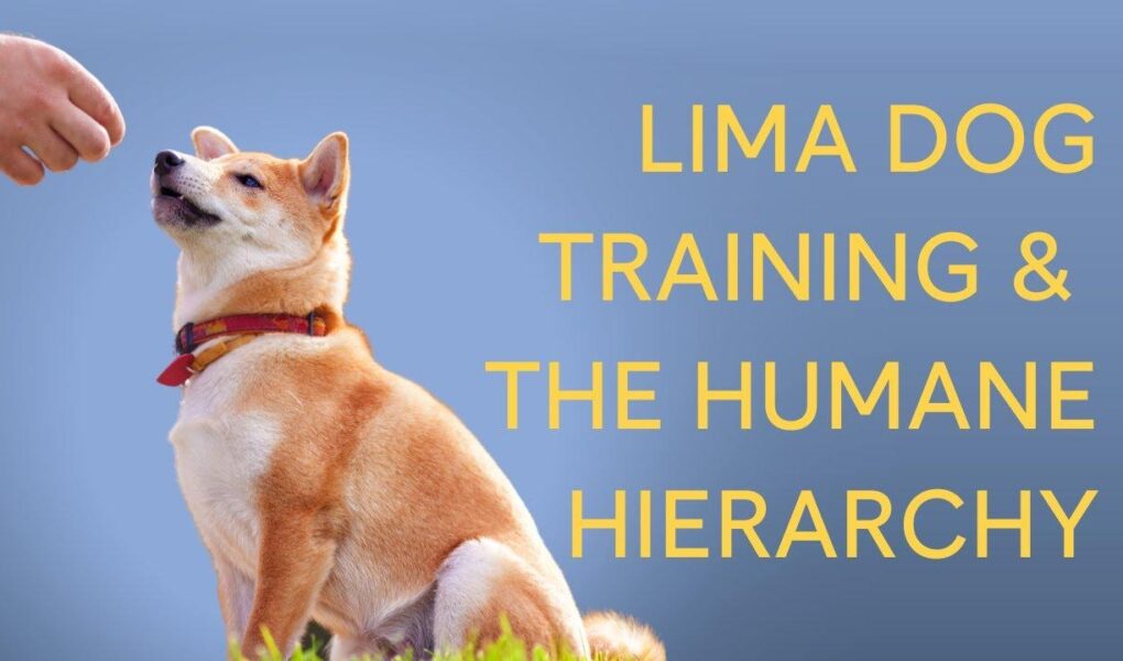 lima dog training