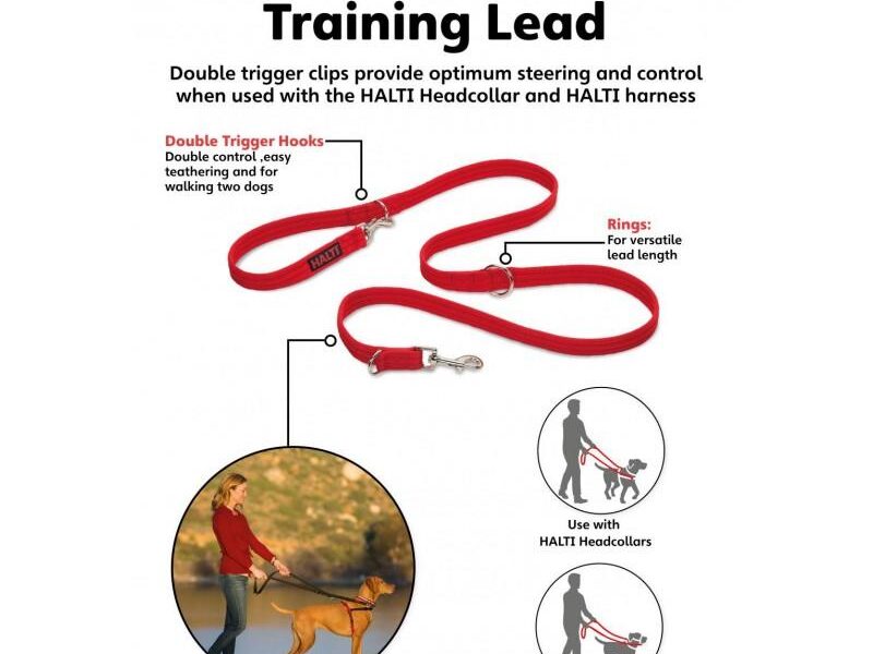 halti training lead