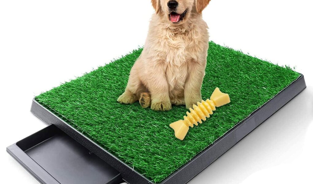 dog turf potty