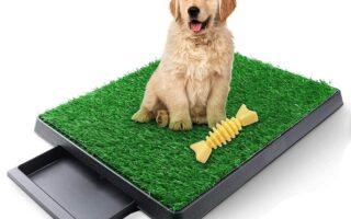 dog turf potty