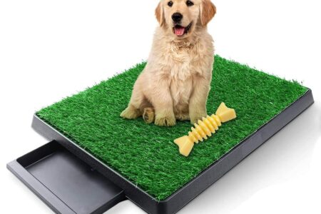 dog turf potty