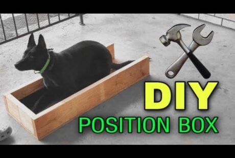 dog training box