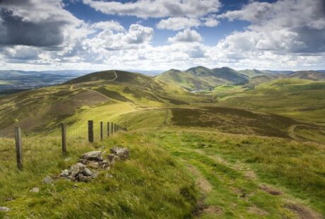 pentlands dog training