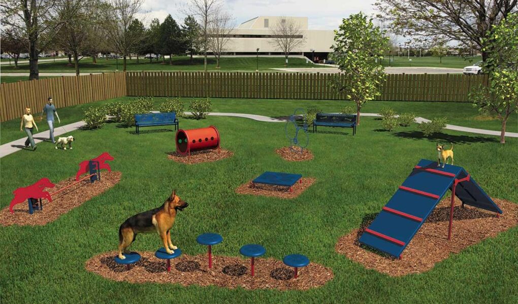 dog agility courses near me