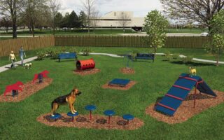 dog agility courses near me