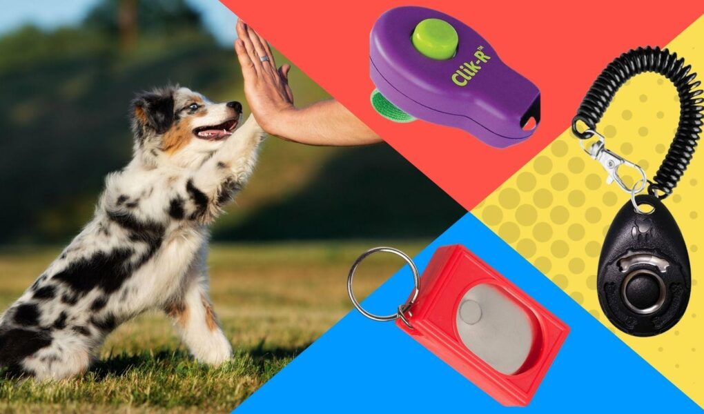 best dog clicker