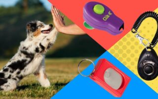 best dog clicker