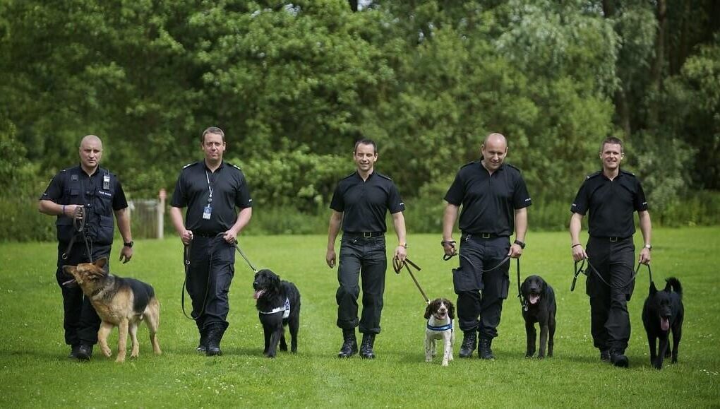 police dog training near me