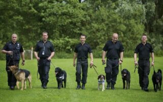 police dog training near me