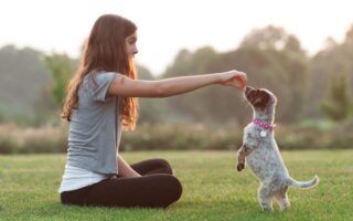 stop puppy from jumping