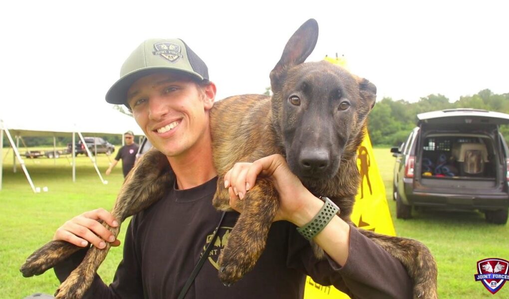 joint forces k9