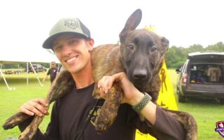 joint forces k9