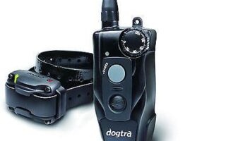 dogtra 200c