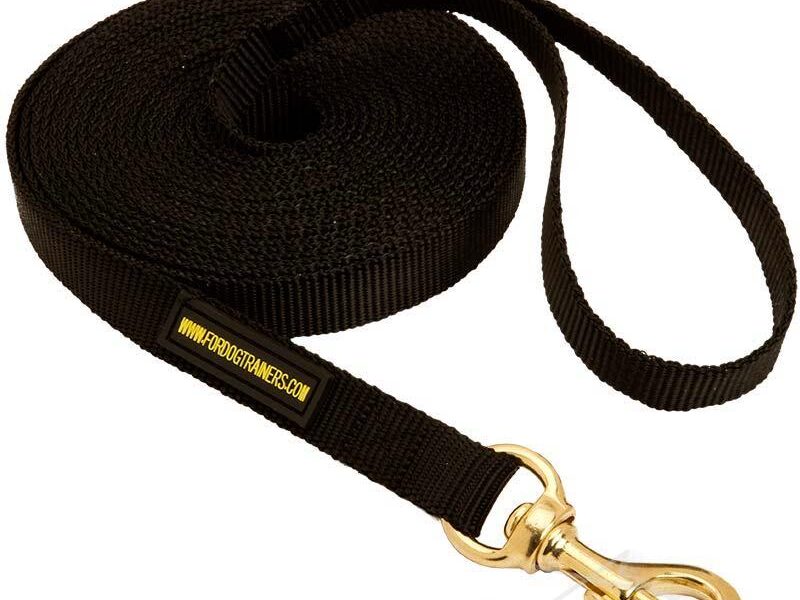 long training leash