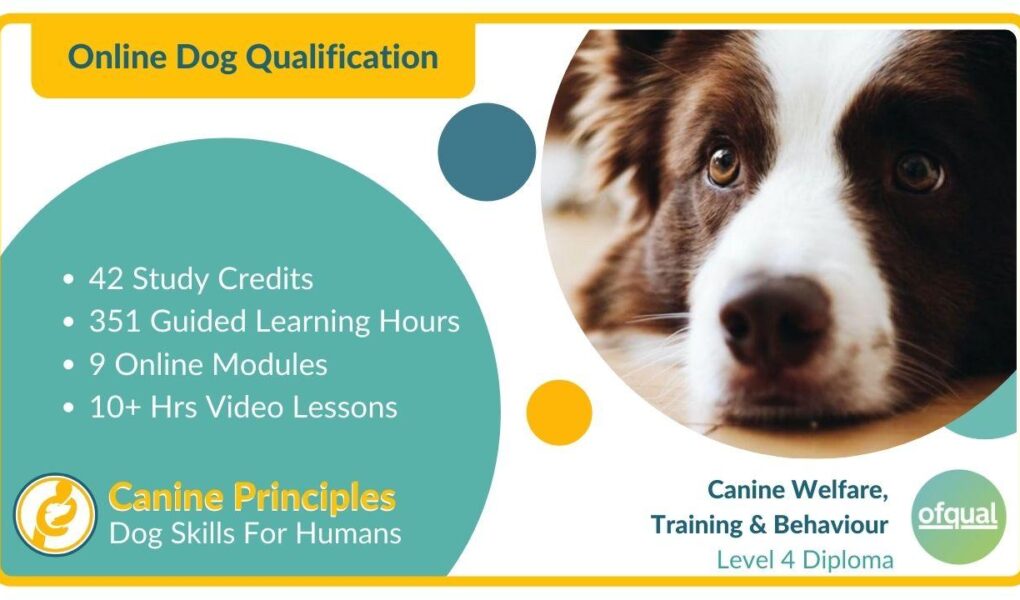 canine principles