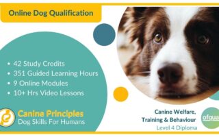 canine principles