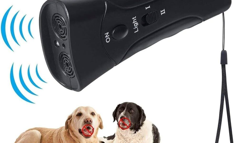 dog training devices