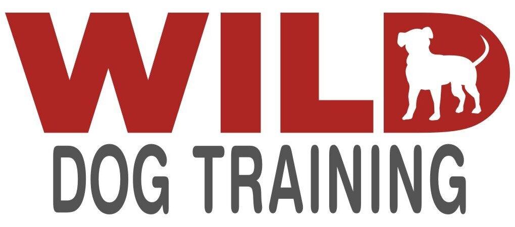 the wildest dog training