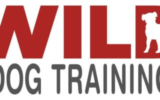 the wildest dog training