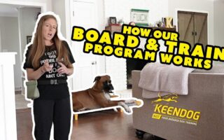 board and train programs near me