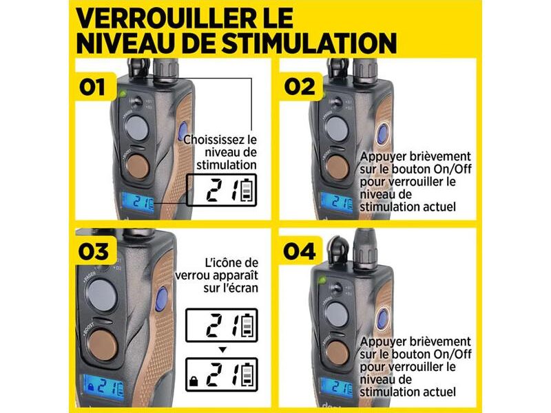 dogtra arc handsfree