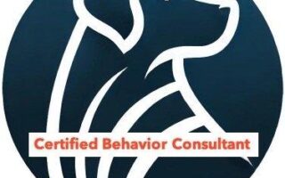 certified dog behaviorist near me