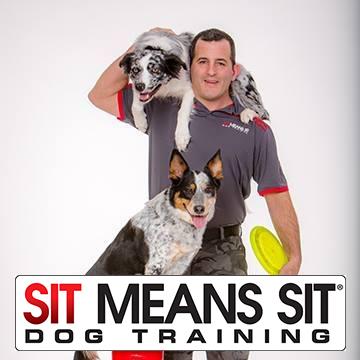 sit means sit dog training prices