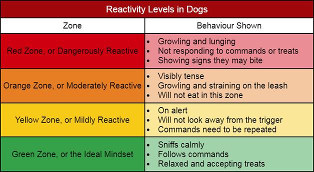 reddit reactive dogs