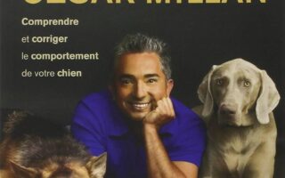 cesar millan dog training