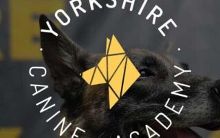 yorkshire canine academy