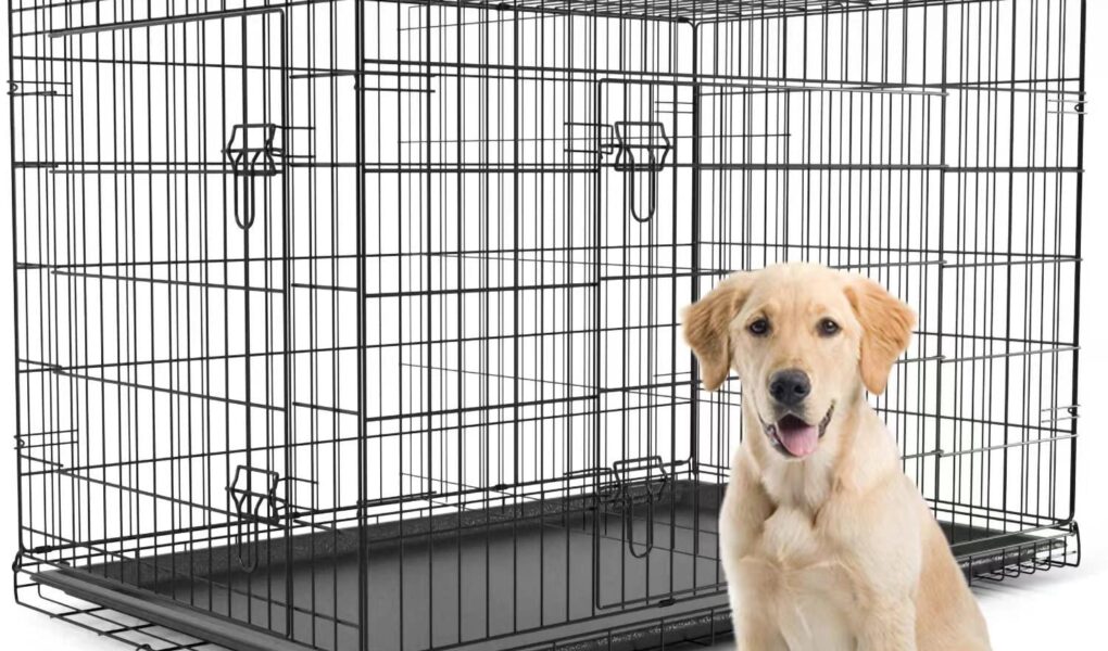 dogs crates