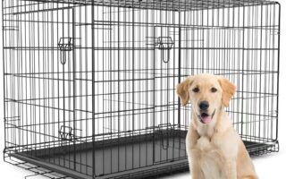 dogs crates