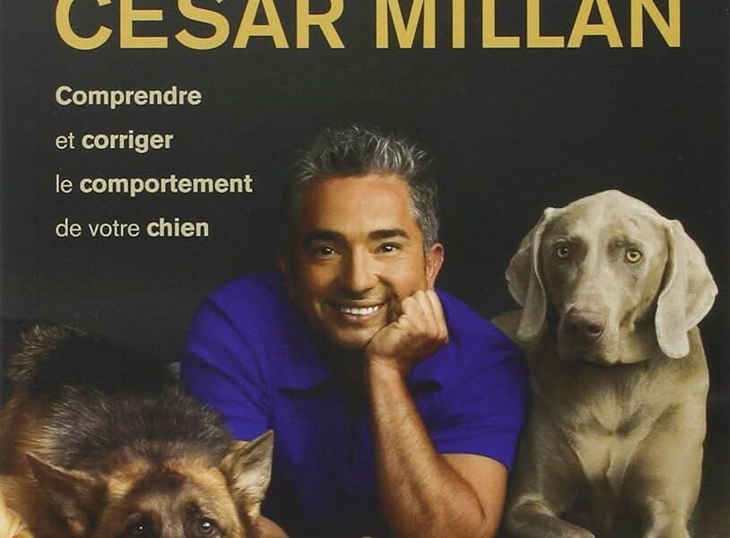 cesar millan leash training