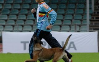 schutzhund