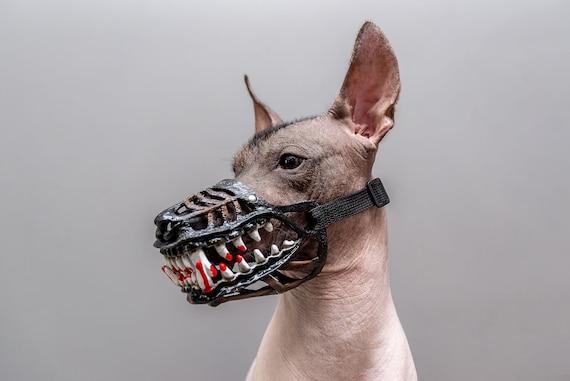 dog muzzle to stop eating everything