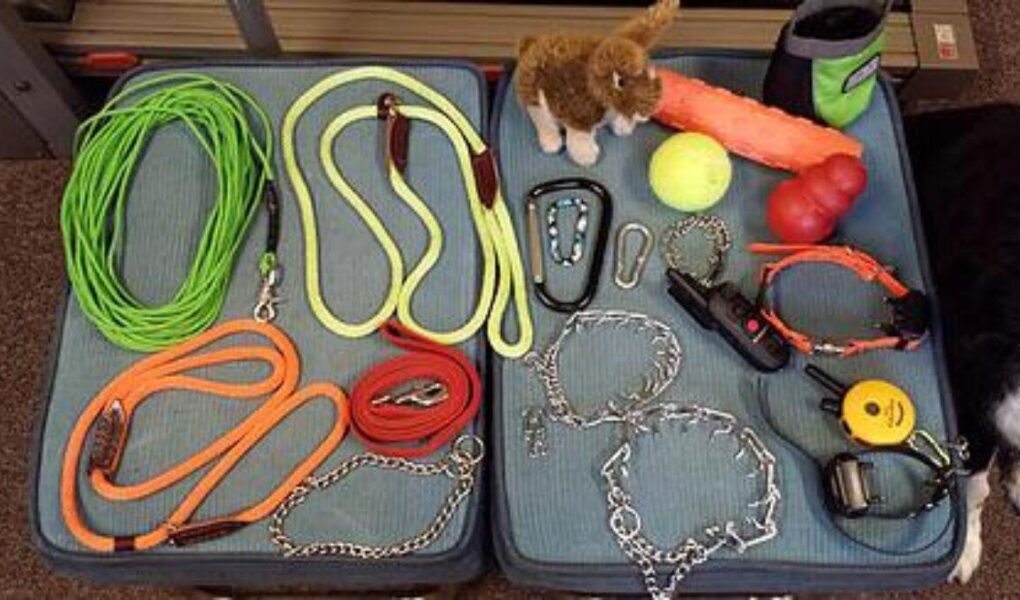 dog training aids