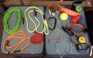 dog training aids