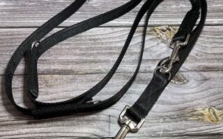 dog training lead